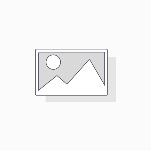 Google Workspace Business Standard